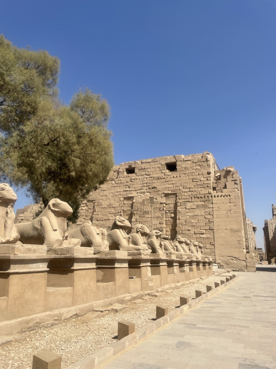 https://www.9h45.fr/wp-content/uploads/2025/01/egypte-louxor-temple-karnak-jour12-2.jpeg