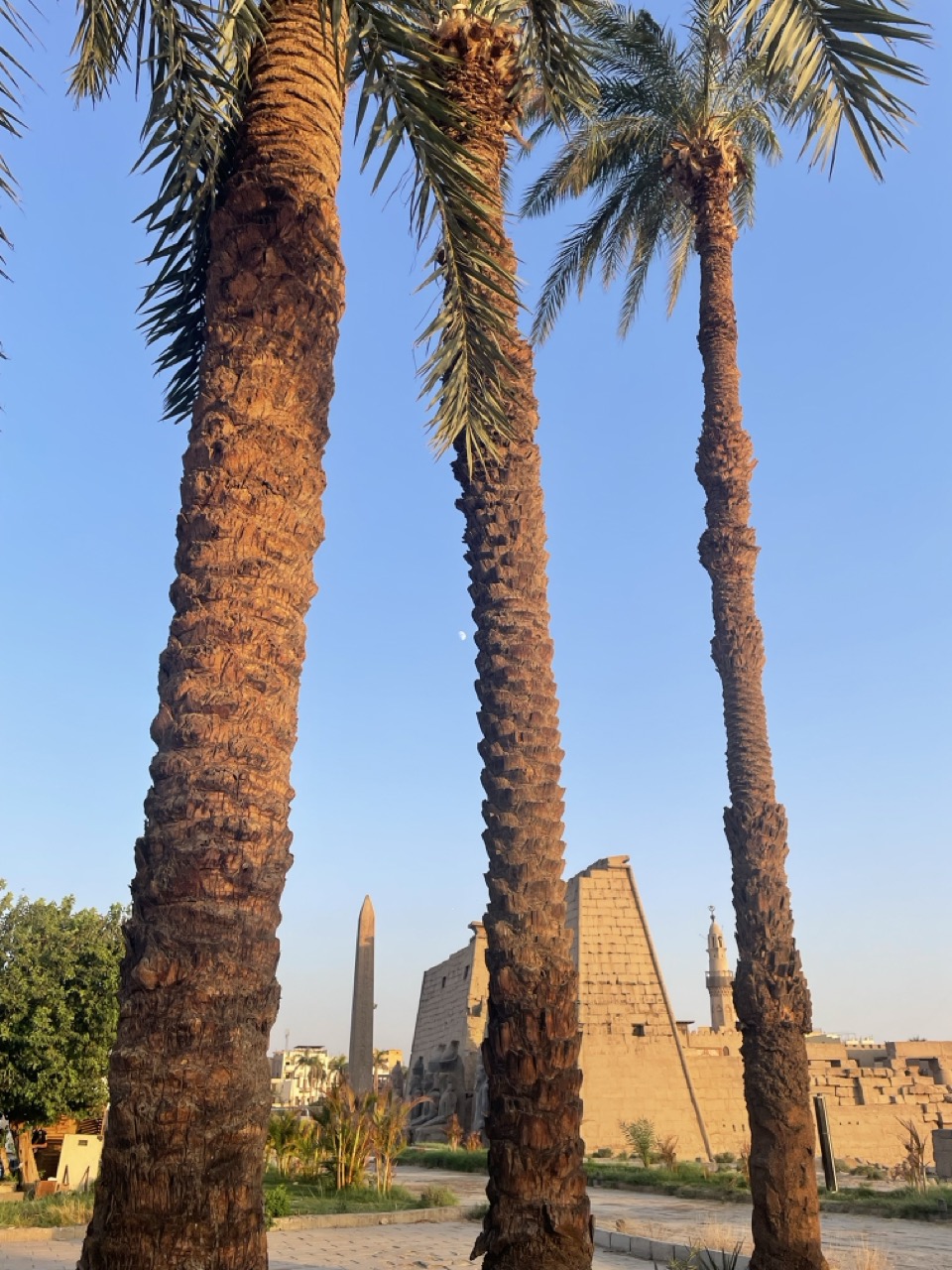 https://www.9h45.fr/wp-content/uploads/2025/01/egypte-louxor-vallee-des-rois-jour13-64.jpeg